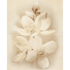 Декор Cersanit Diana 50x40 flower