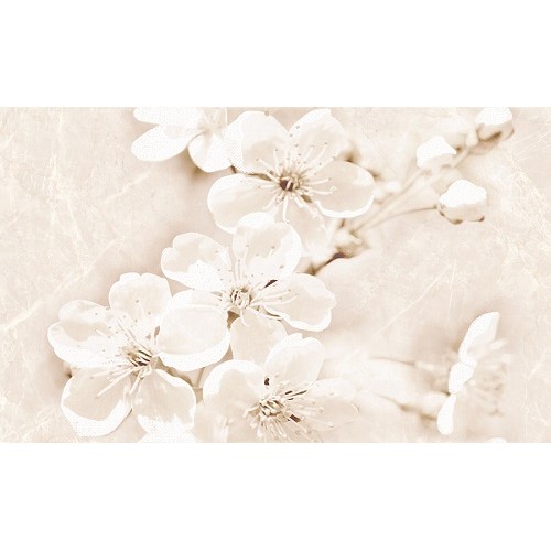 Декор Cersanit Sofi 25x40 inserto flower