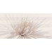 Декор Opoczno Avangarde 29,7x60 white inserto flower