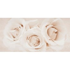 Декор Opoczno Camelia 29,7x60 inserto flower