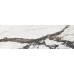Плитка Opoczno Crystalline 25x75 white glossy