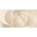 Декор Opoczno Effecta 29,7x60 beige