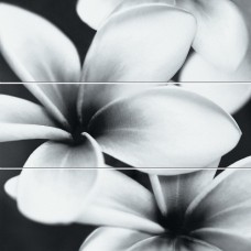 Панно Opoczno Pret-A-Porter 75x75 flower grey composition