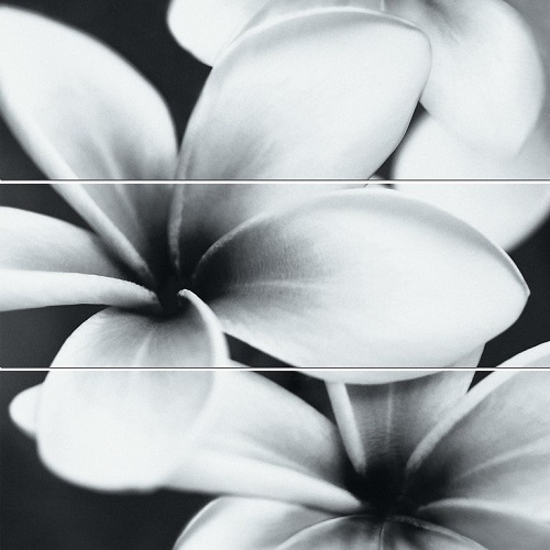 Панно Opoczno Pret-A-Porter 75x75 flower grey composition