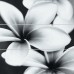 Панно Opoczno Pret-A-Porter 75x75 flower grey composition