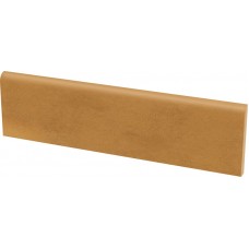 Цоколь Paradyz Aquarius 8,1x30 brown