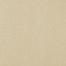 Плитка Paradyz Doblo 59,8x59,8 Beige Mat