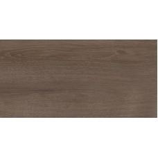 Плитка Paradyz Domus 30x60 Brown