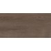 Плитка Paradyz Domus 30x60 Brown