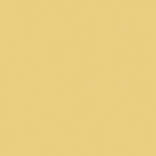 Плитка Paradyz Gamma 19,8x19,8 Poziomkowa Матова