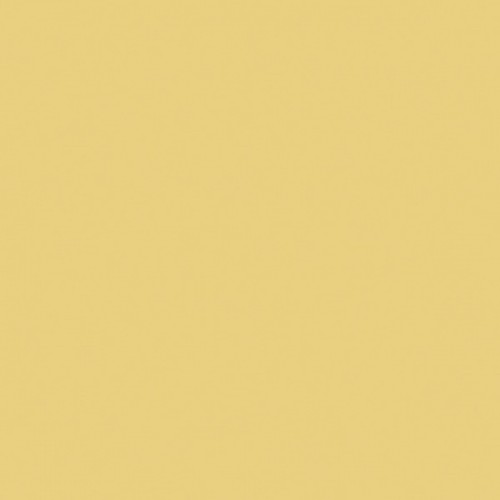 Плитка Paradyz Gamma 19,8x19,8 Miodowa Матовая