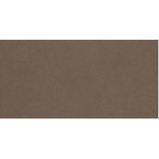 Плитка Paradyz Intero 44,8x89,8 Brown Mat