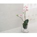 Плитка Paradyz Nirrad Struktura 20x60 Bianco