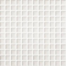 Мозаика Paradyz Orrios 29,8x29,8 Bianco Prasowana