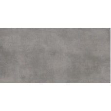 Плитка Paradyz Tecniq 44,8x89,8 Silver Mat