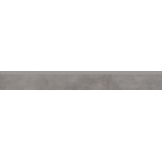 Цоколь Paradyz Tecniq 7,2x59,8 Silver Mat