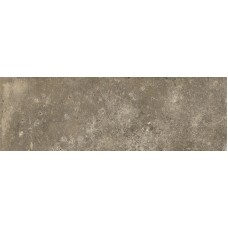 Плитка Paradyz Trakt 24,7x75 Umbra Mat