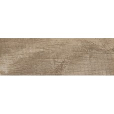 Плитка Paradyz Trophy 20x60 Brown Mat