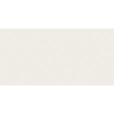 Плитка Paradyz Calm silver dekor 29,8X59,8