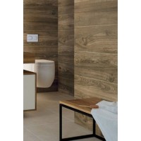 Плитка Paradyz Serene brown 25x75