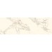 Плитка Paradyz Serene bianco 25x75