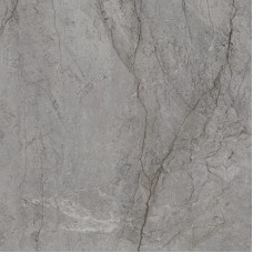 Плитка My Way Paradyz Visioner Grey 120X120