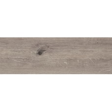 Плитка Paradyz Naturalmood grigio 20x60