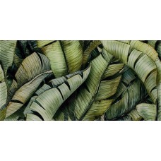 Декор стеклянный Paradyz Natura Leaf В 30x60
