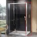 Нерухома стінка Ravak 10° 10PS-100 Полір. алюміній Transparent (9UVA0C00Z1)