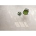 Плитка Zeus Ceramica Calcare White 60x60 (ZRXCL0BR)