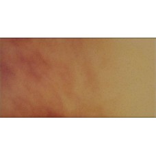 Плитка напольная Cerrad Осенний Лист 30x14,8