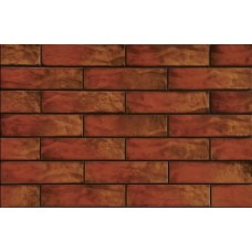 Плитка фасадна Cerrad USA 24,5x6,5 Colorado