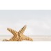 Декор Golden Tile Summer Stone Holiday 25x40 (4 шт)