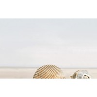 Декор Golden Tile Summer Stone Holiday 25x40 (4 шт)