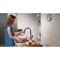 Смеситель для кухни Hansgrohe Focus хром (31815000)