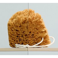 душові двері Radaway Premium Plus DWD 140 прозоре скло (33353-01-01N)