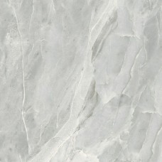 Плитка Golden Tile Silver Roots серый 60x60, S92590