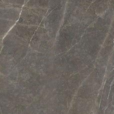 Плитка Golden Tile Stone Roots коричневый 60x60, SO7580